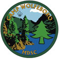 Camp Wolfeboro 2004 Patch